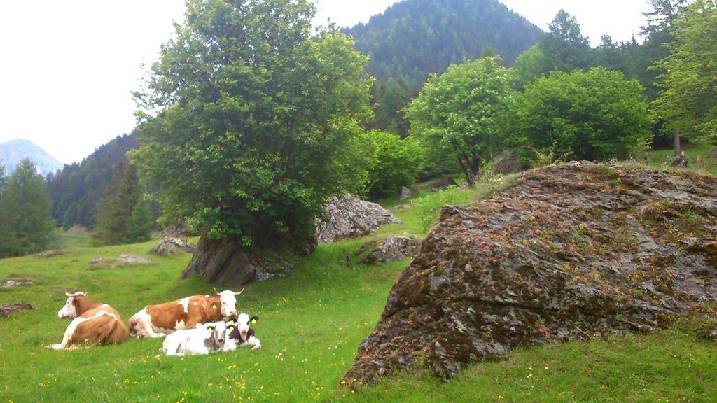 Pension Siegelbrunn B&B Mallnitz Cameră foto